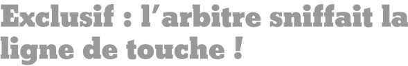 Exclusif : l'arbitre sniffait la ligne de touche !